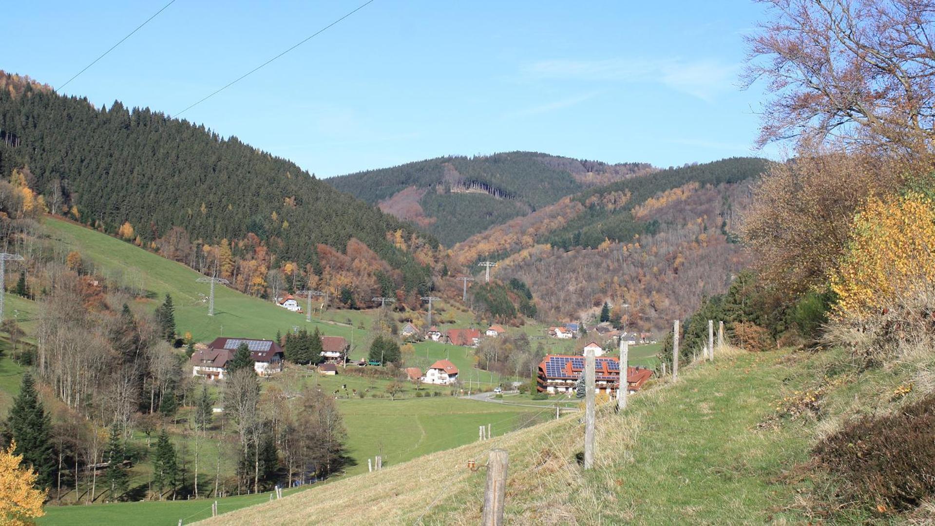 فيلا Grundhof Oberprechtal المظهر الخارجي الصورة