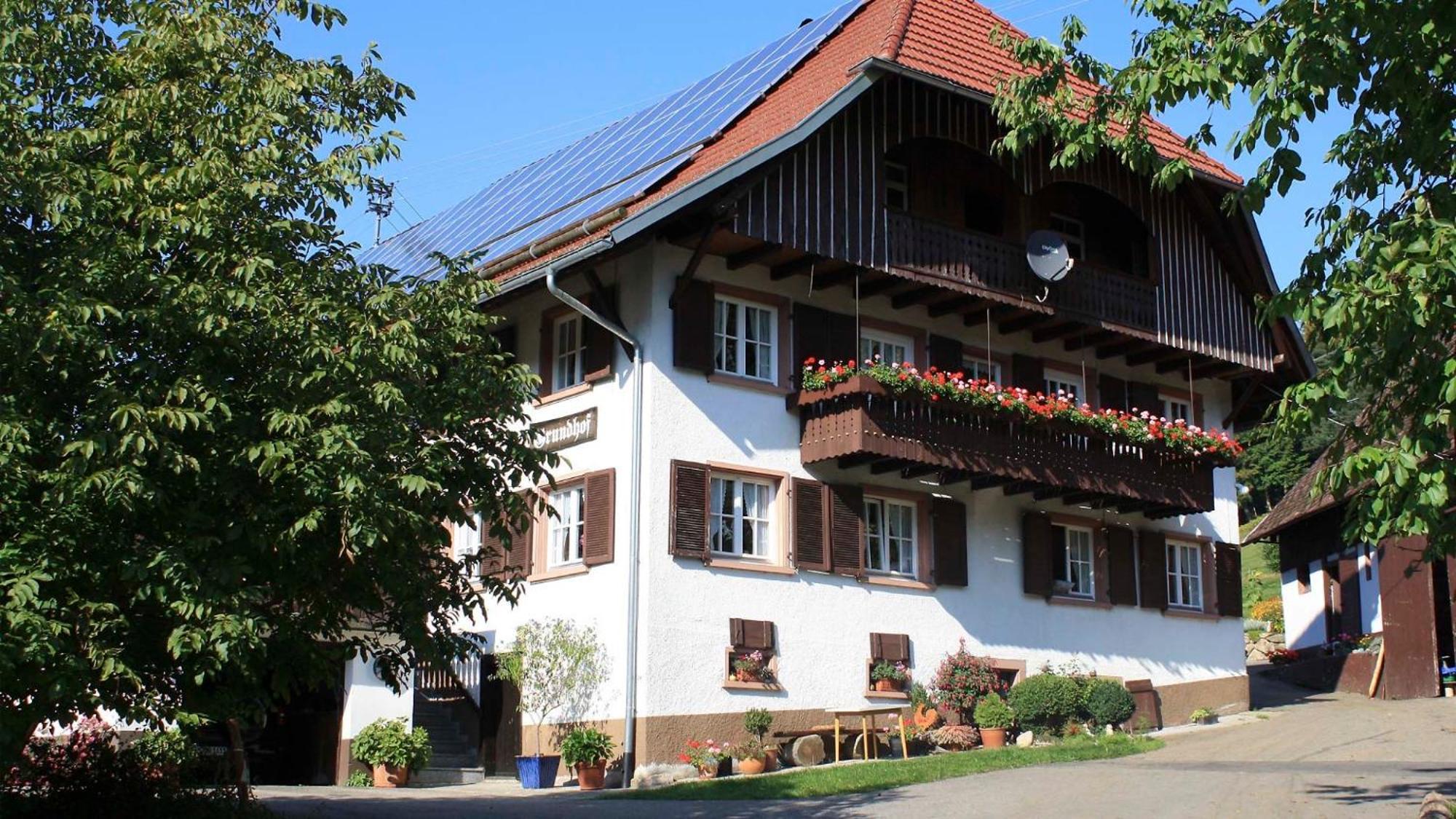 فيلا Grundhof Oberprechtal المظهر الخارجي الصورة