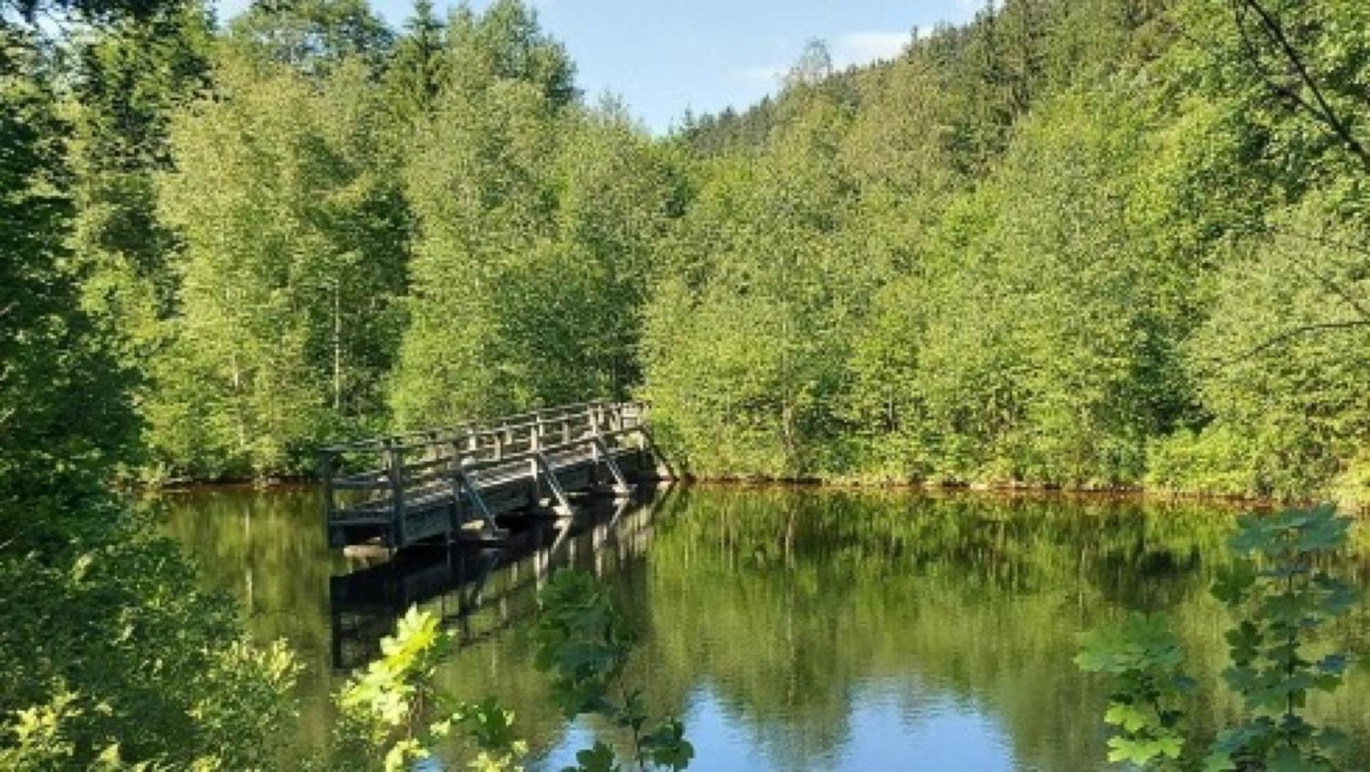 فيلا Grundhof Oberprechtal المظهر الخارجي الصورة