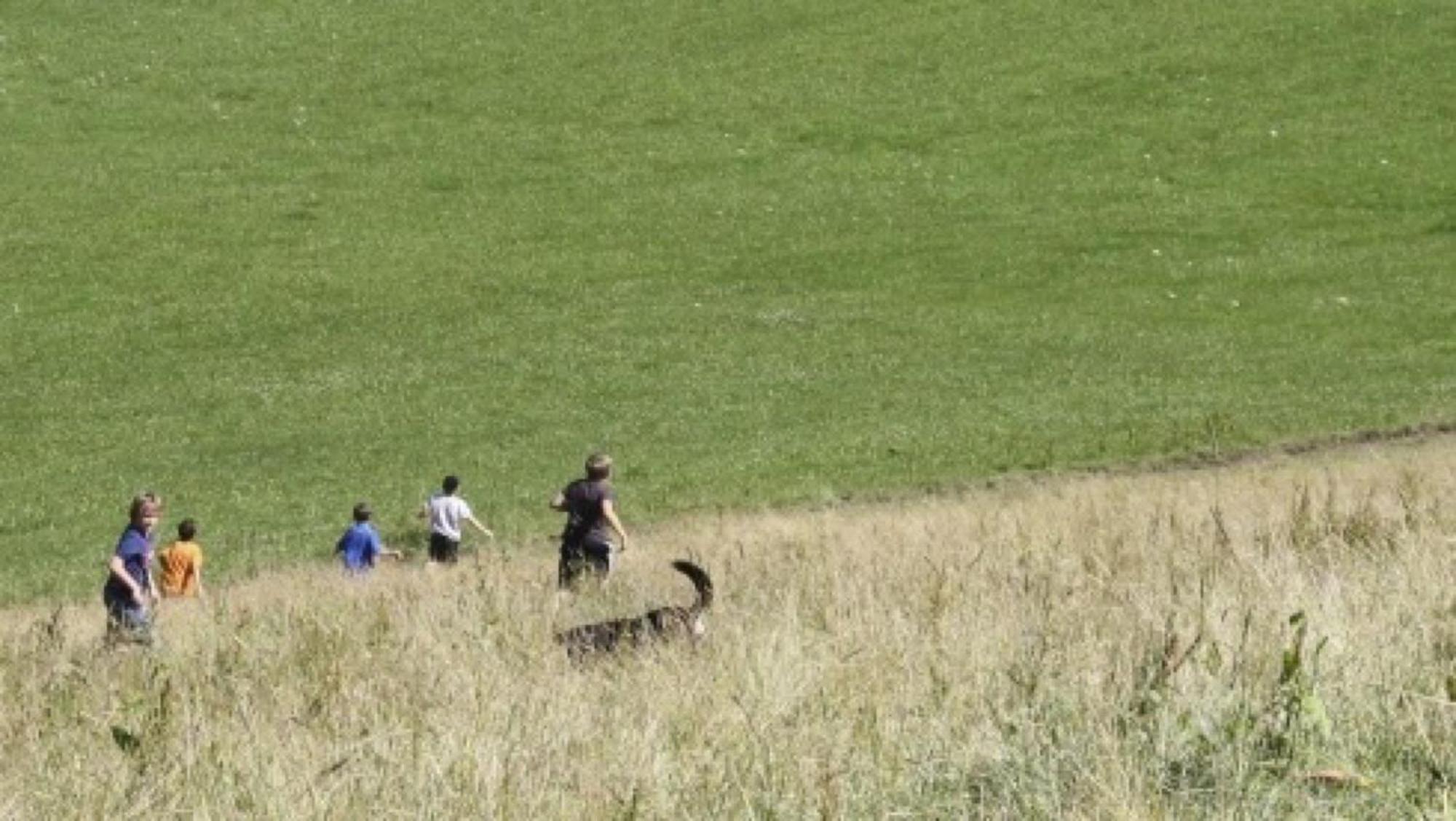 فيلا Grundhof Oberprechtal المظهر الخارجي الصورة