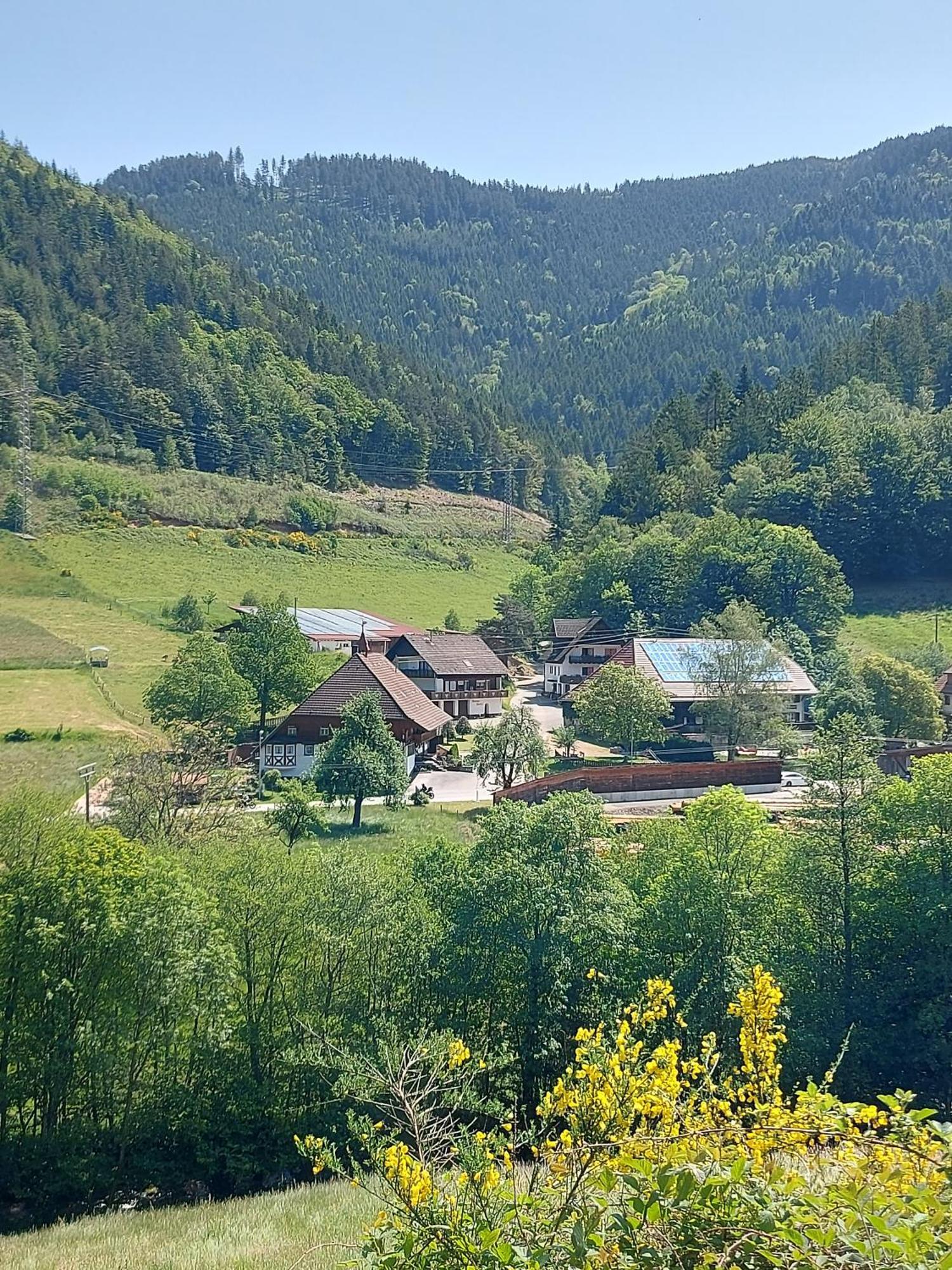 فيلا Grundhof Oberprechtal المظهر الخارجي الصورة
