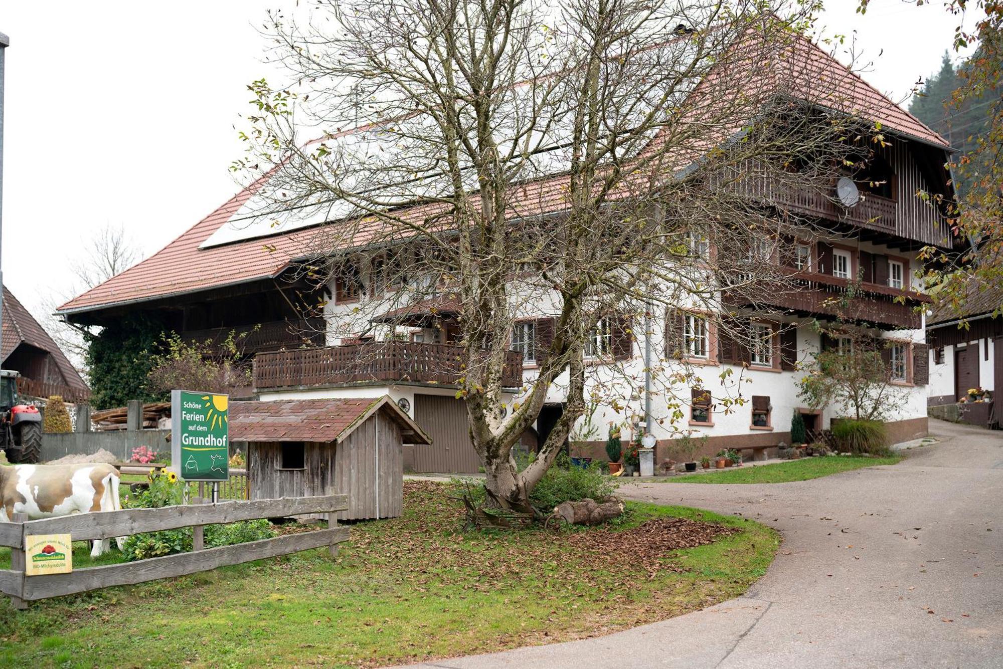 فيلا Grundhof Oberprechtal المظهر الخارجي الصورة